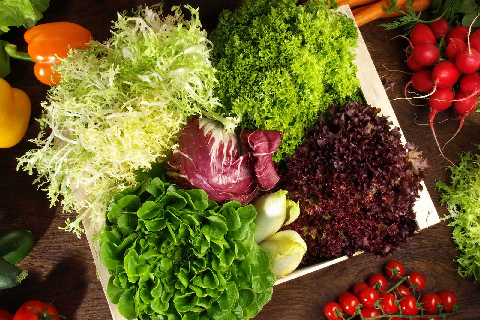 Bunte Salate mit gebratenem Hähnchenbrustfilet Pfalzmarkt