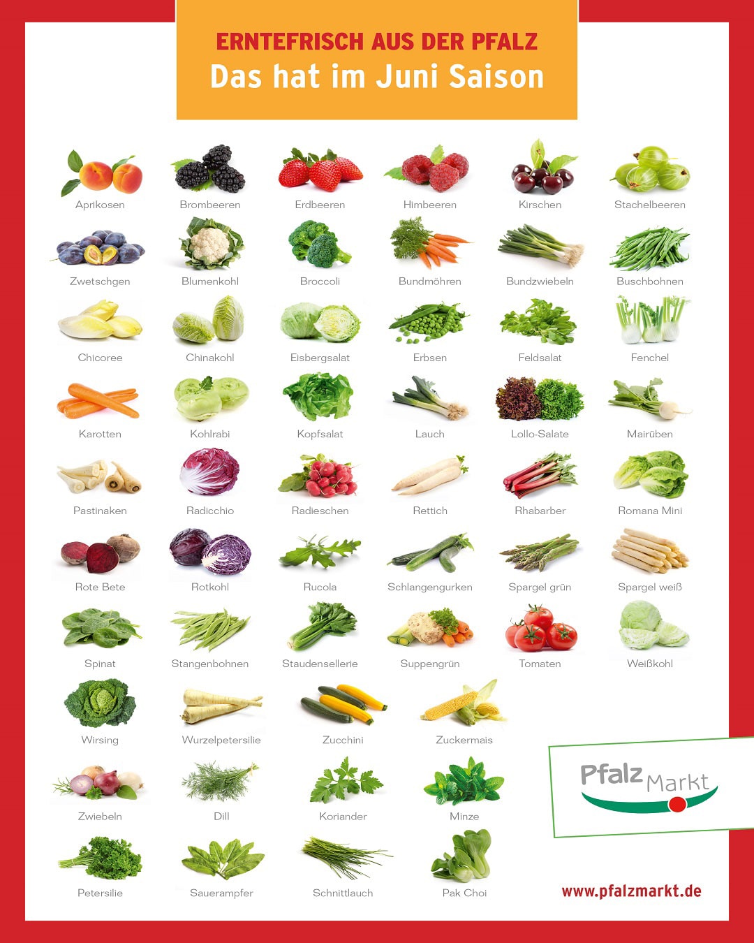Saisonkalender für Obst und Gemüse - Bundesverband der Lebensmittelkontrolleure Deutschlands e.V.