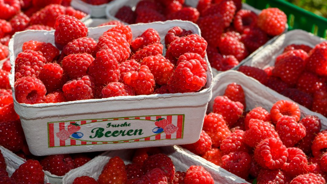 HImbeeren