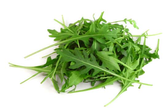 rucola