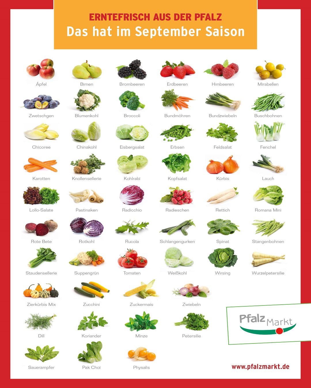 Saisonkalender für Obst und Gemüse - Bundesverband der Lebensmittelkontrolleure Deutschlands e.V.