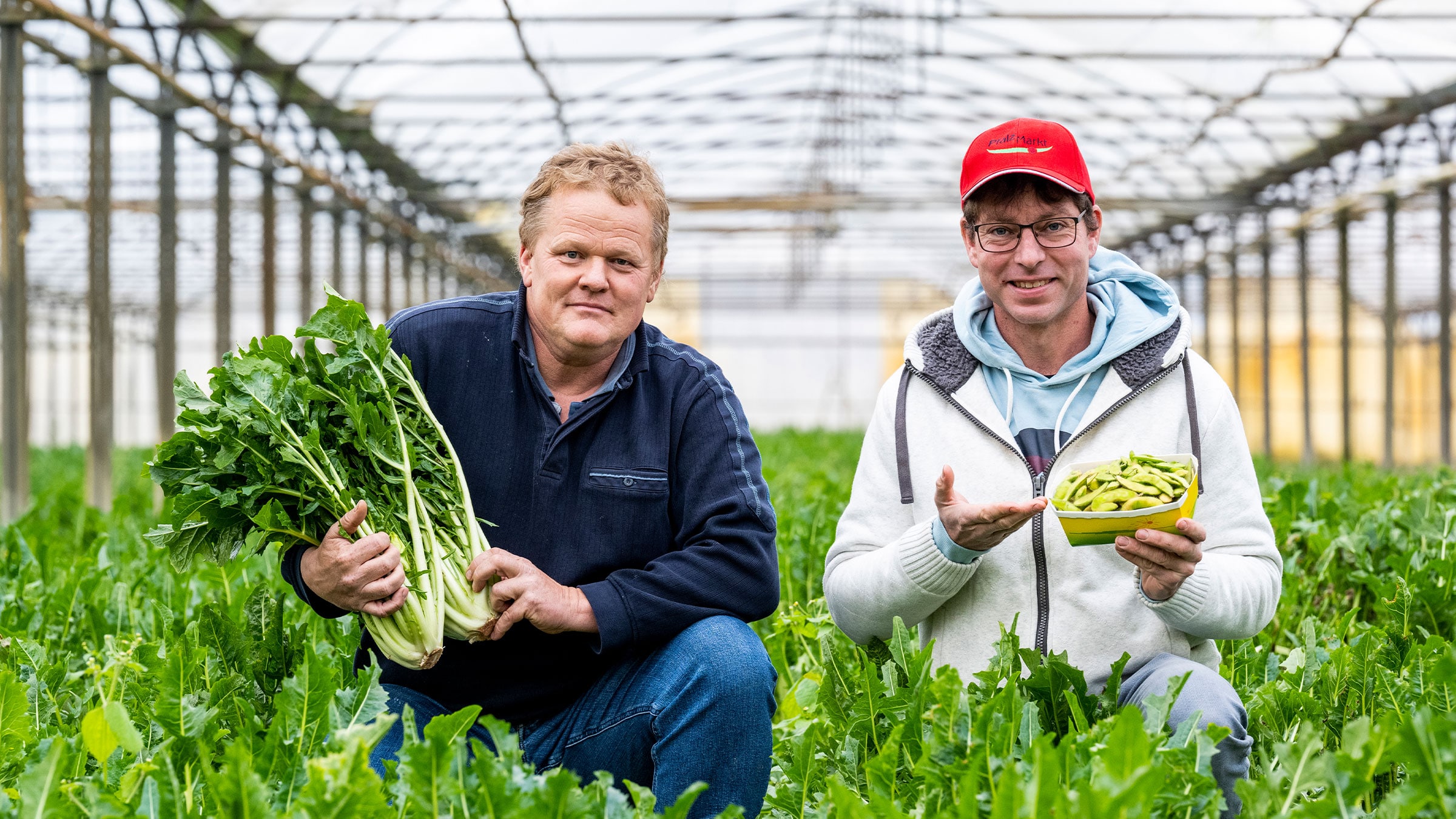 Pfalzmarkt Edamame und Vulkanspargel