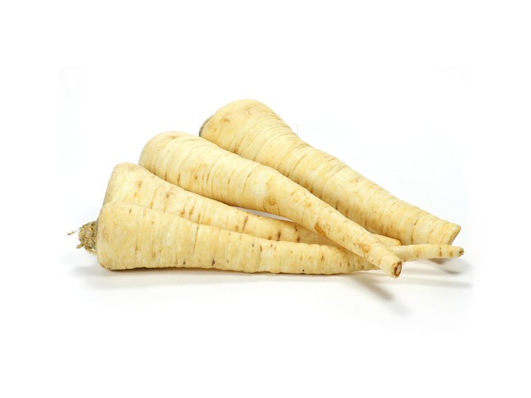 Parsley root freshly harvested from the Pfalz region